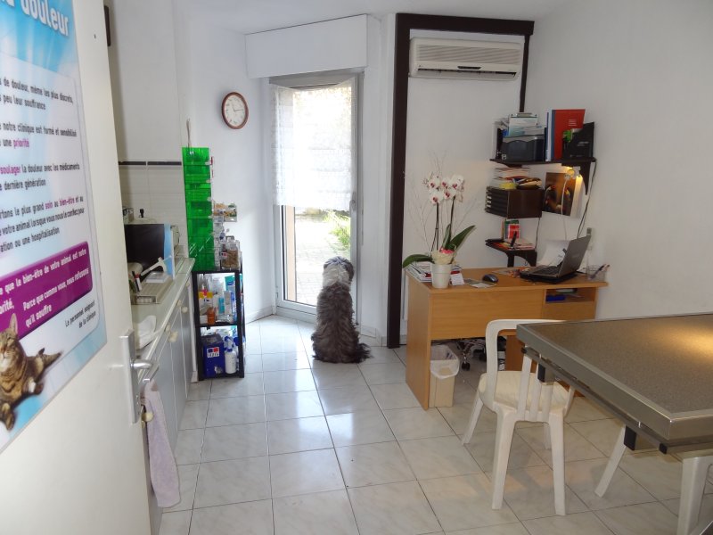 laboratoire d analyse vétérinaire