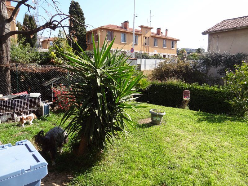 Le jardin