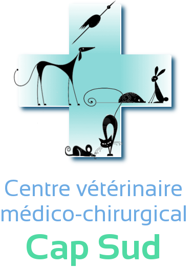 Clinique vétérinaire à Nice Logo